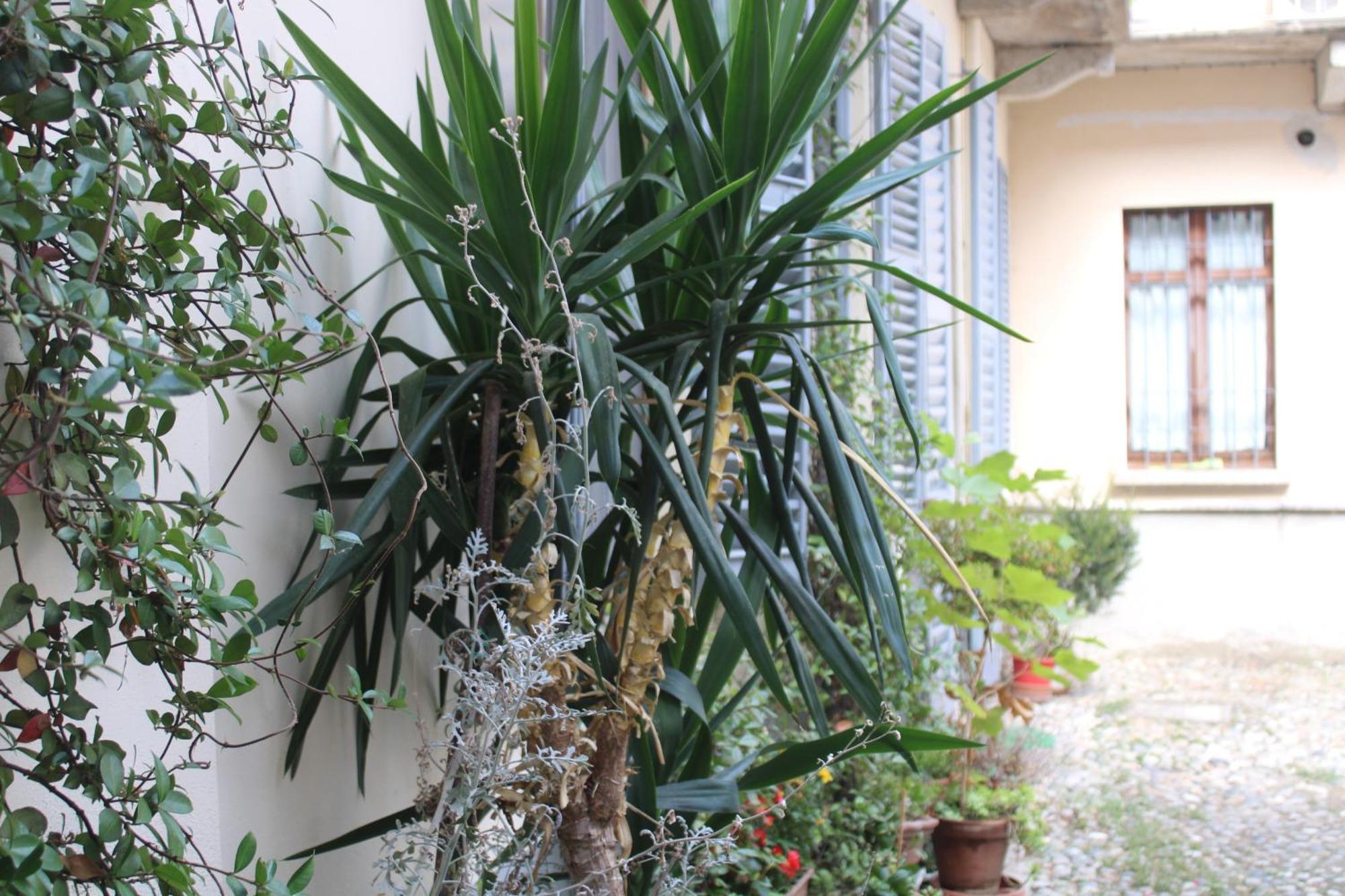 Dimora Boezio7, Cozy And Charming Place In Center With Private Parking Pavia Exterior foto